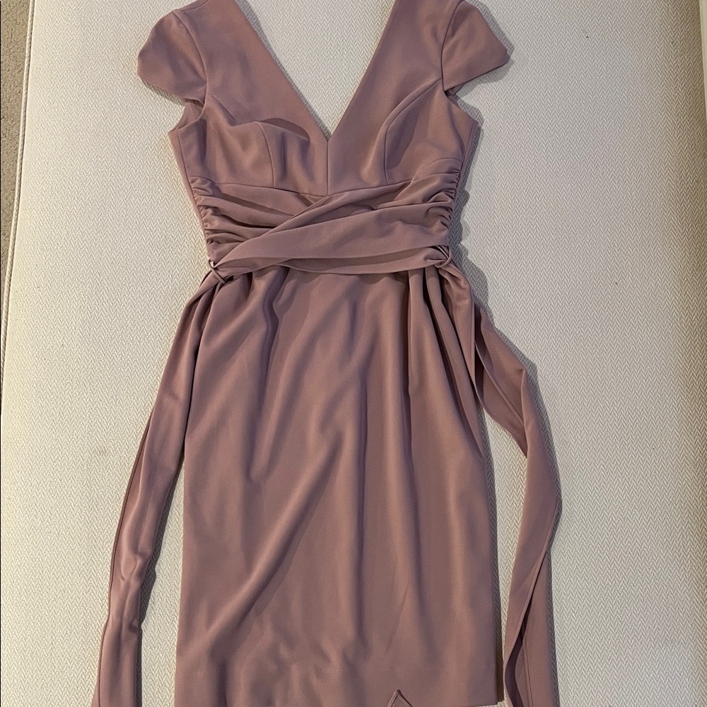 Dress the Population Mauve Mini Dress